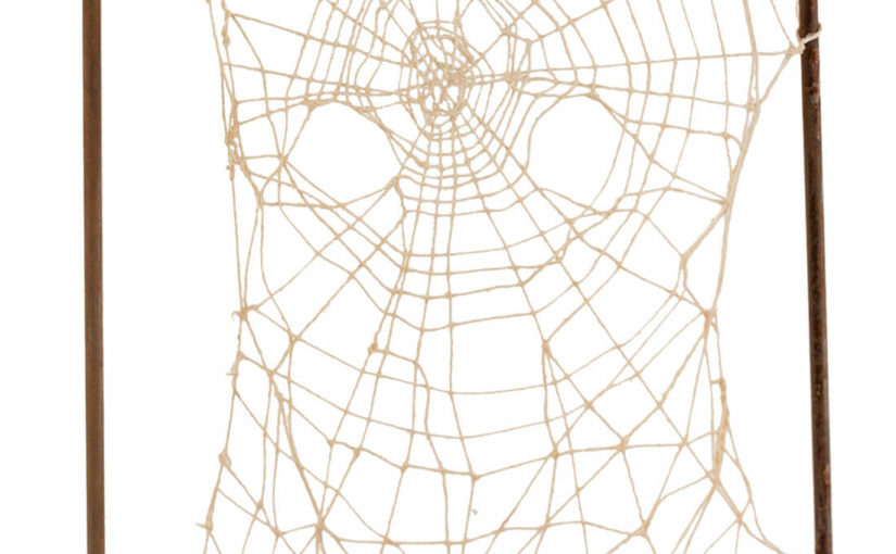 The Myth of the Spider
