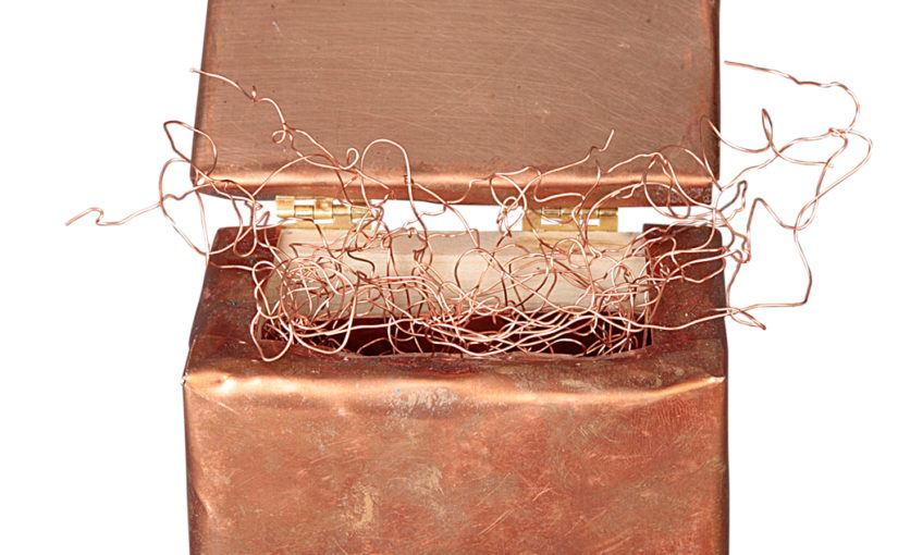 An Empty Nest, An Open Coffin (for Quintan)