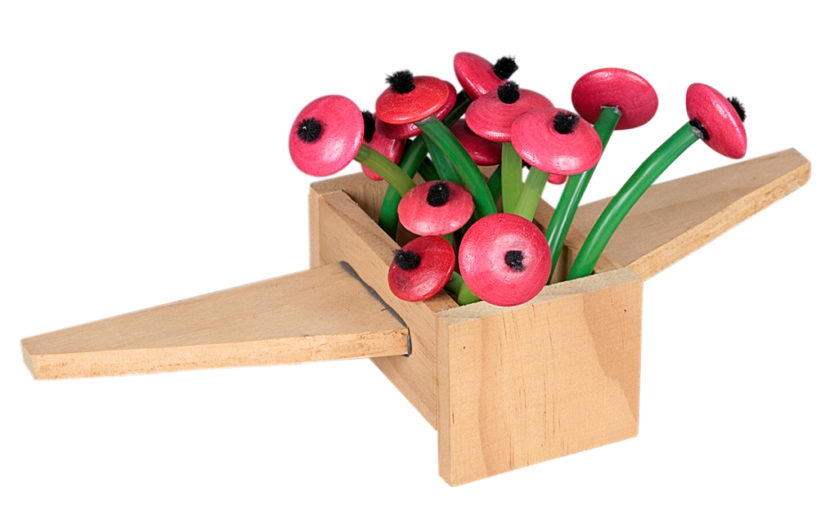 The Poppy Field