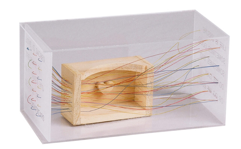 Life Beyond the Box