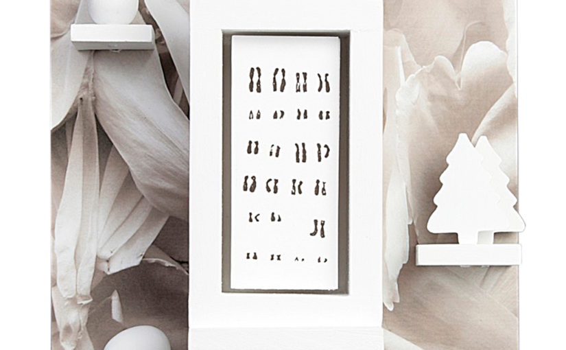 Altar for Eve’s Chromosomes