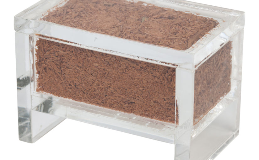 Transparent Box