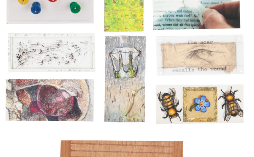 Following Examples: An Exhibition