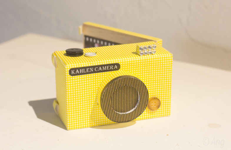 Buddy Camera